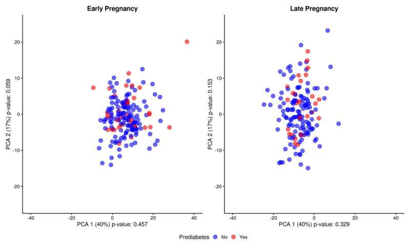 Early pregnancy blood samples can shed light on risk of developing type 2 diabetes