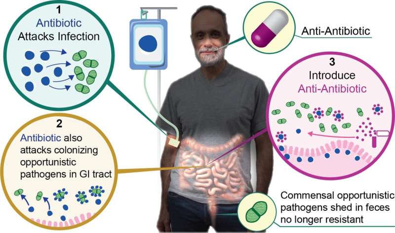 'Anti-antibiotic' allows for use of antibiotics without driving resistance