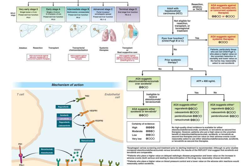 AGA recommends shared decision-making approach for treatment of hepatocellular carcinoma (HCC)