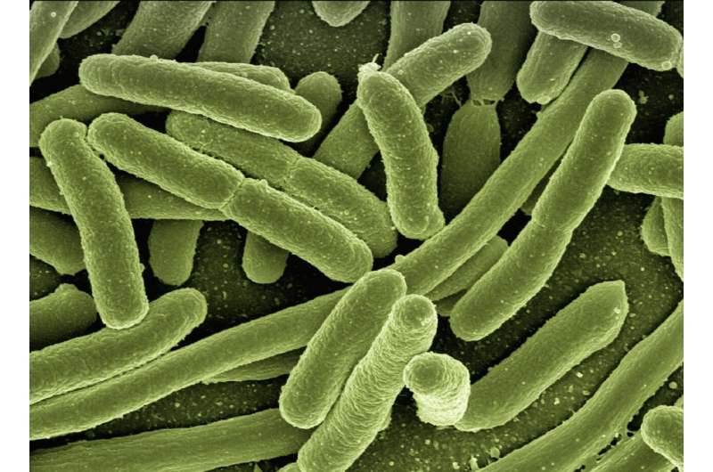 New treatment for recurrence of C. difficile infection approved by FDA