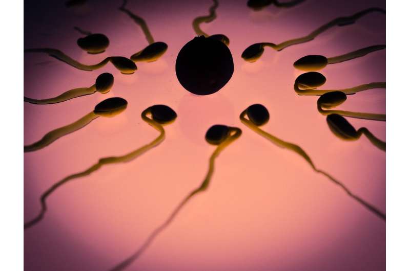 Maintaining normal weight early in life may help prevent male infertility