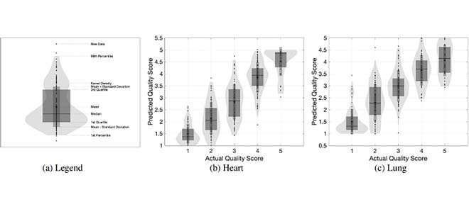 New software delivers advanced sound quality in heart and lung monitoring for newborns 