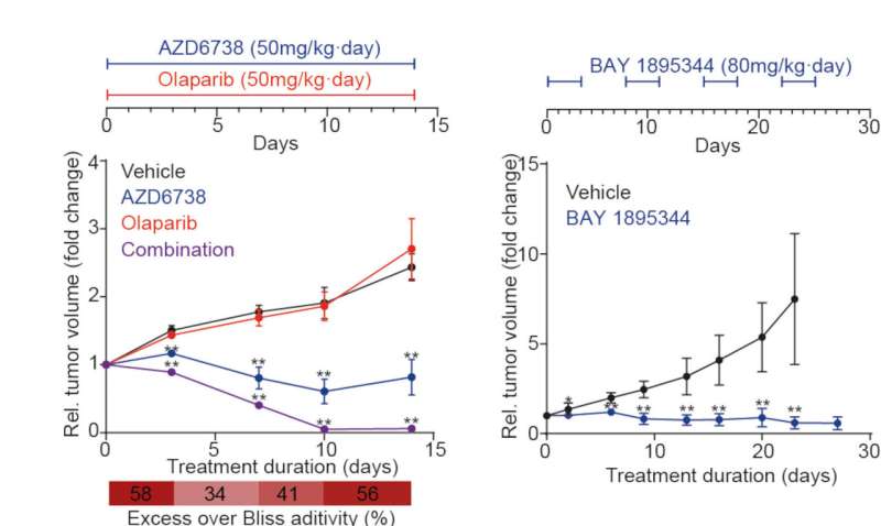 Promising new treatment for deadly pediatric tumor