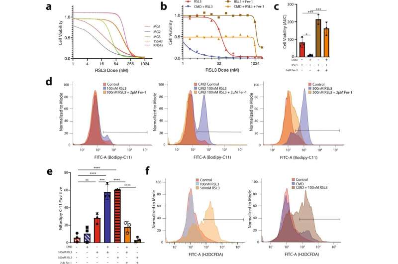 Researchers leverage cell self-destruction to treat brain tumors