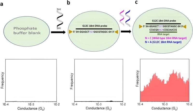 Electrical detection of RNA cancer biomarkers at the single-molecule level