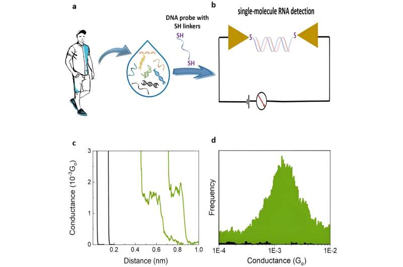 Electrical detection of RNA cancer biomarkers at the single-molecule level 