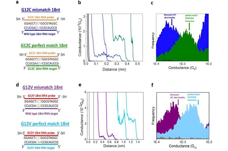 Electrical detection of RNA cancer biomarkers at the single-molecule level