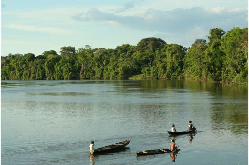 Eating bushmeat could reduce childhood anaemia in Amazon forest communities