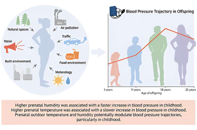 Exposure to high humidity and temperature in pregnancy could influence blood pressure changes in childhood 