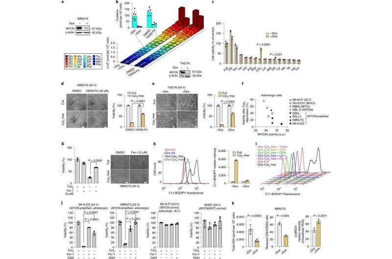 Tumors on withdrawal: Amino acid deficiency shrinks childhood tumors 