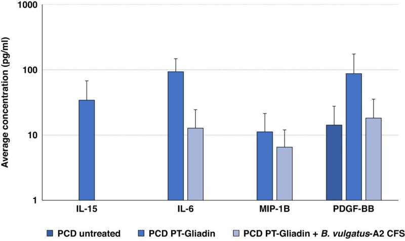 Researchers identify a bacterial strain that demonstrates a potentially protective role in celiac disease