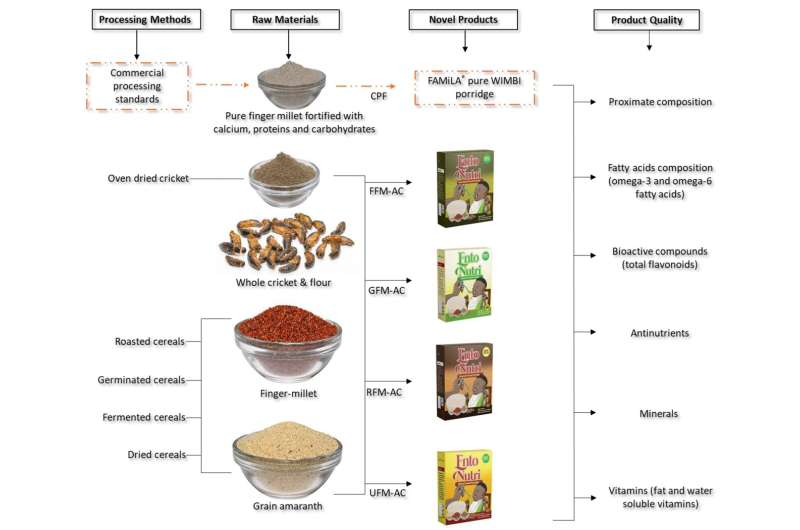 Is insect porridge the answer to malnutrition in Africa?