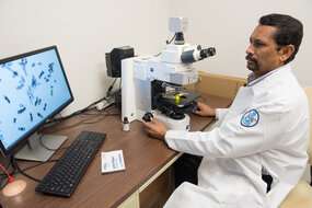 Study: Biomarker in urine may offer noninvasive detection of prostate cancer