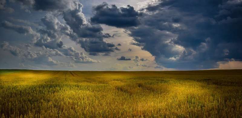 Lush grasslands, higher allergy risks—what hay fever sufferers can expect from another La Niña season