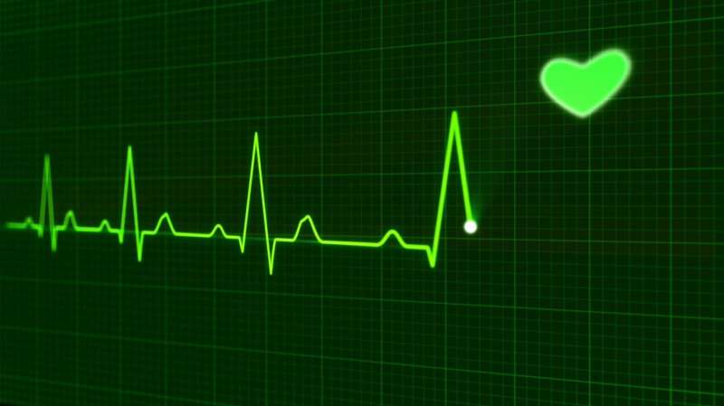 Spotlight on early detection of three heart diseases using ECG-AI