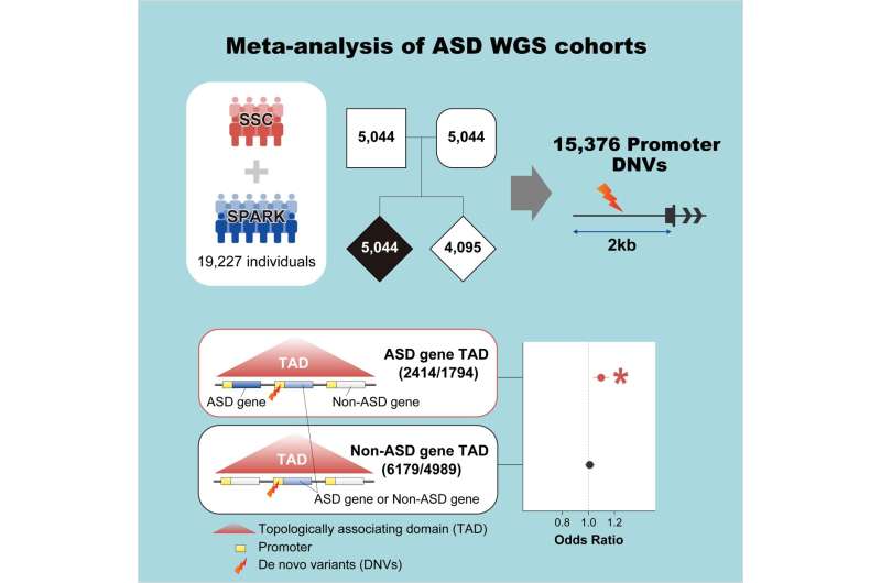 Genomic "butterfly effect" explains risk for autism spectrum disorder