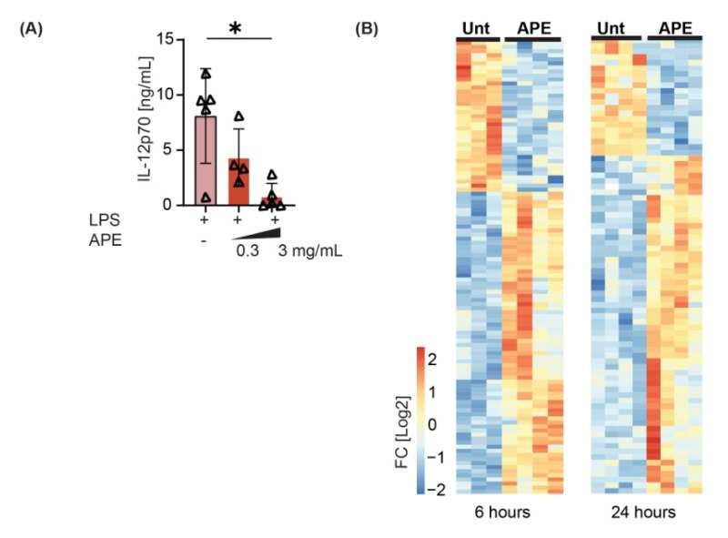 Researchers describe how birch pollen affects immune cells