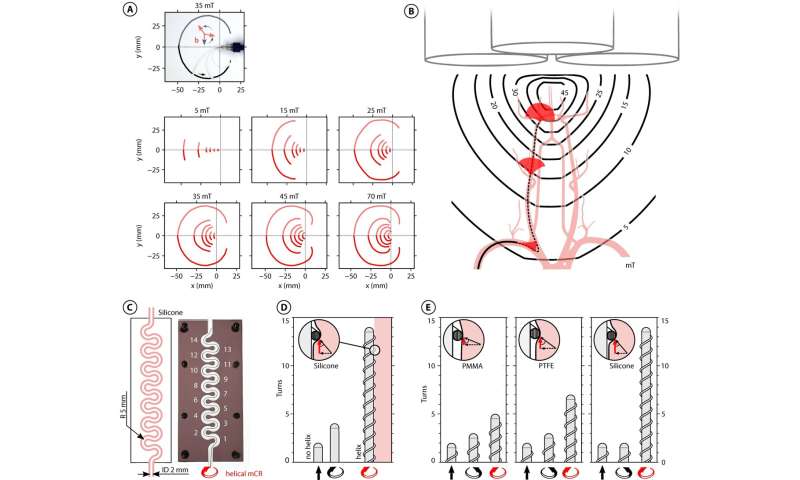 Magnetically operated robot can move through arteries to treat stroke patients