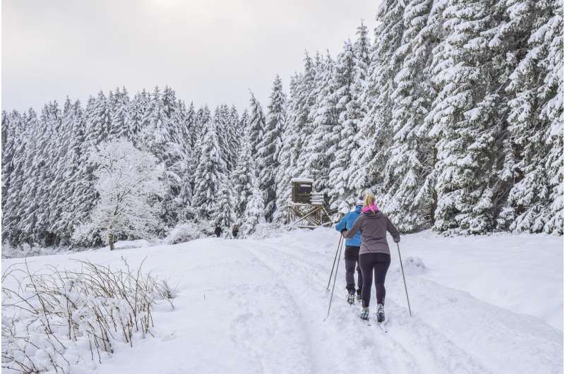 Intensive training linked to heightened asthma risk in cross-country skiers 