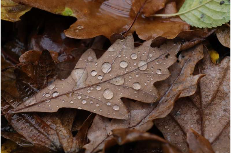 Can severe weather changes make allergies worse? 