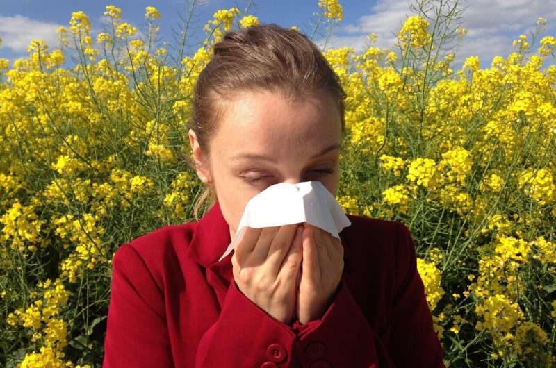 Tips on dealing with seasonal allergies 