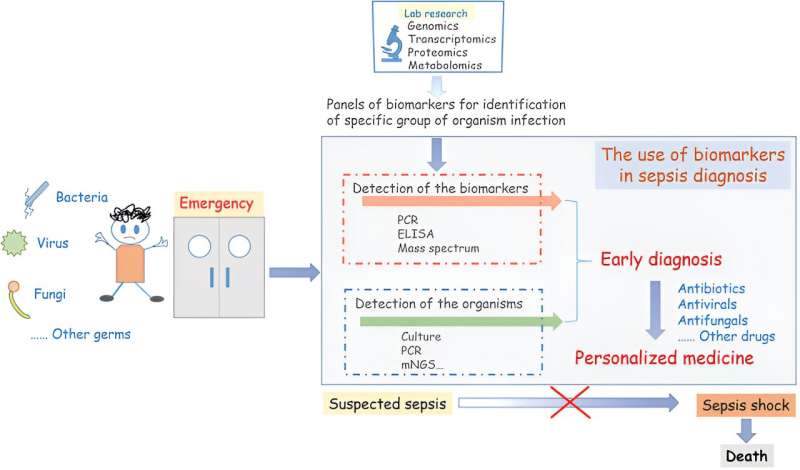 Advances in pediatric sepsis biomarkers: A pediatric investigation review