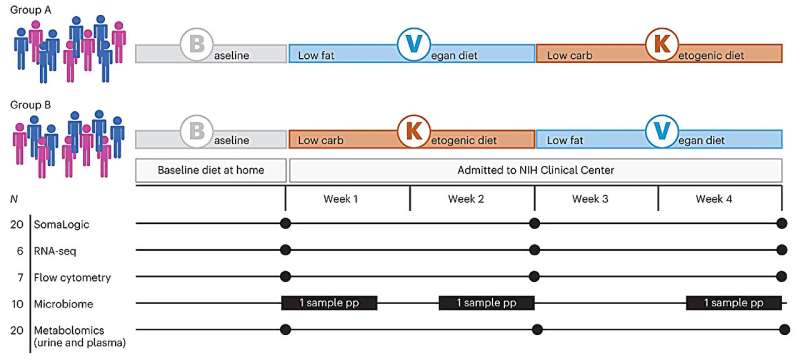 Switching to vegan or ketogenic diet rapidly impacts immune system