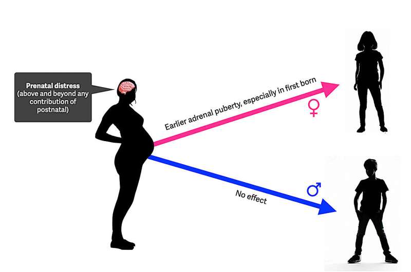 Stress during pregnancy can lead to early maturation of first-born daughters, suggests study