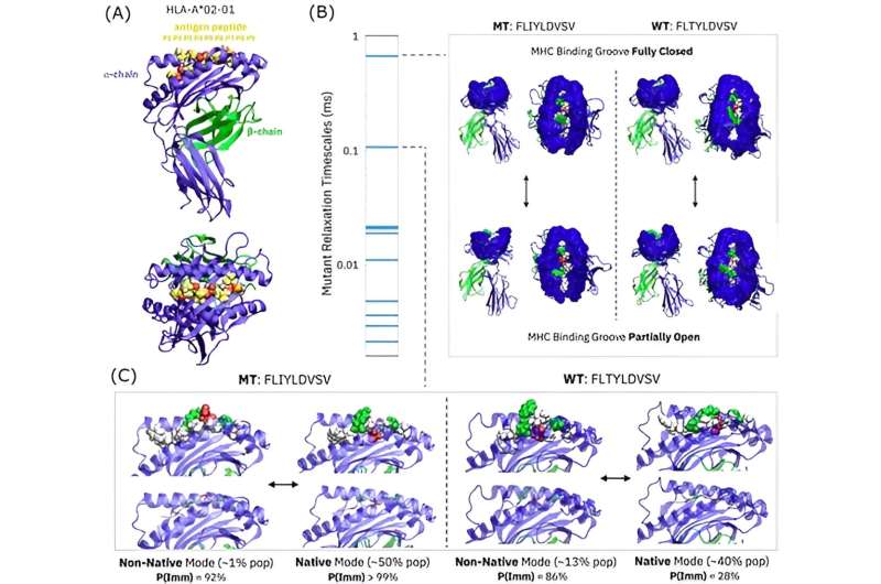 An AI strategy for identifying new immunotherapy targets