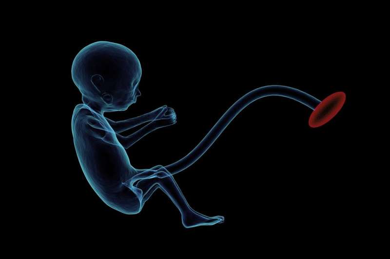 Babies in the womb react differently to flavours: researchers 