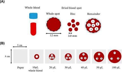 Research team develops dried blood spot CRM for newborn screening 