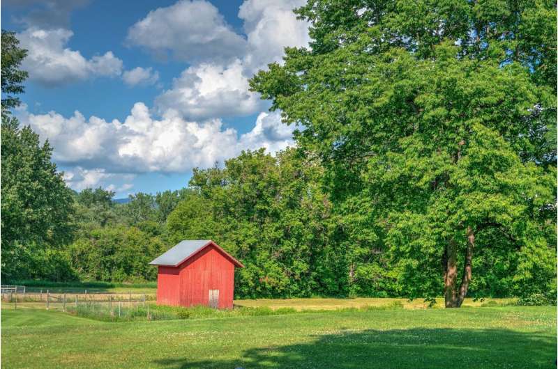 Racial disparities in obesity widen in rural areas across country