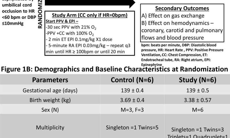 New study evaluates current neonatal resuscitation guidelines