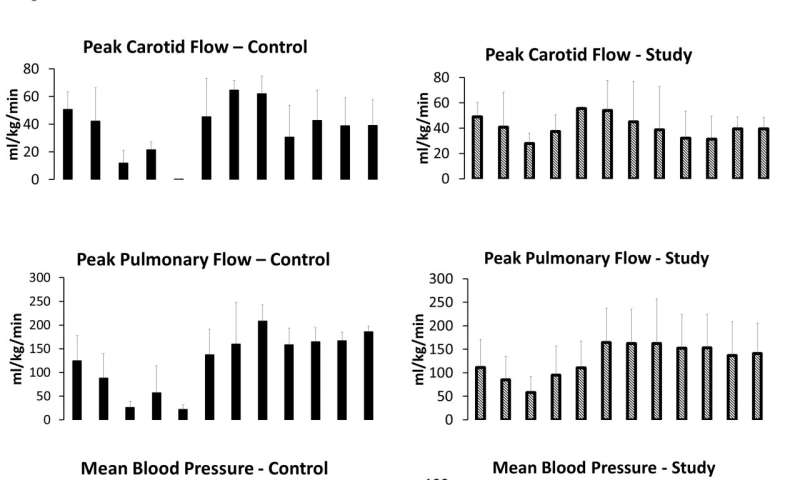 New study evaluates current neonatal resuscitation guidelines