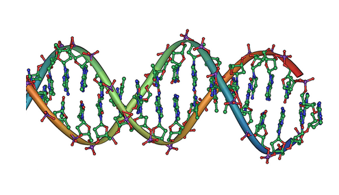 DNA