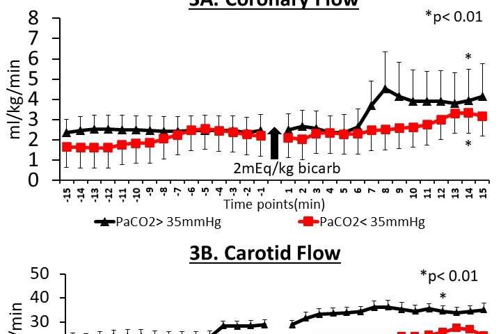 Rapid bicarbonate bolus post extensive neonatal resuscitation leads to increased perfusion to the heart and brain