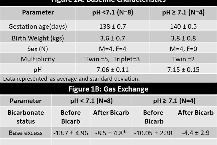 Rapid bicarbonate bolus post extensive neonatal resuscitation leads to increased perfusion to the heart and brain