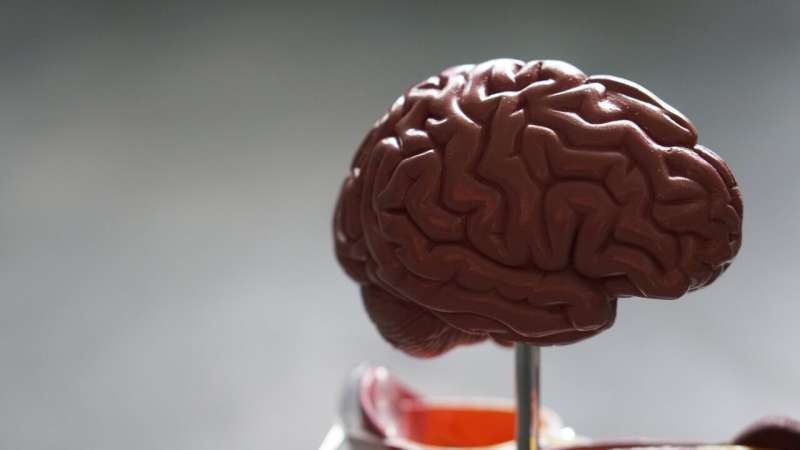 Scientists discover new genetic disease that delays brain development in children 