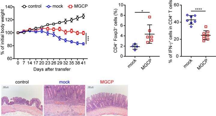 Stopping the onset and progression of intractable immune diseases