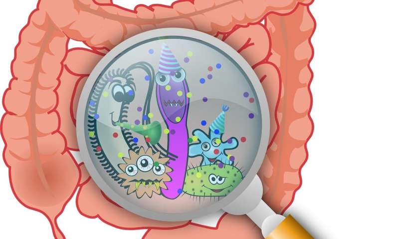 Half of all commonly used drugs profoundly affecting the gut microbiome, warn experts 