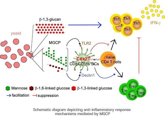 Stopping the onset and progression of intractable immune diseases 