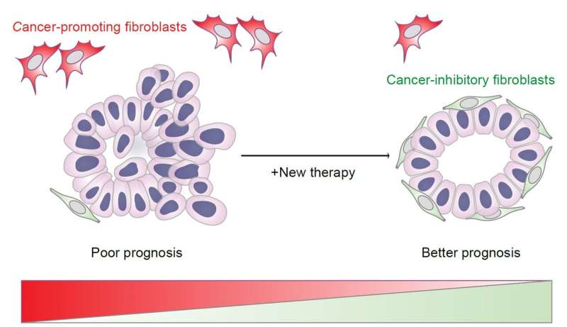 New therapy to target the spread of bowel cancer 