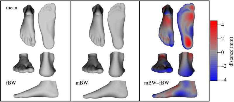 Does your foot shape dictate how well you do the locomotion, baby?