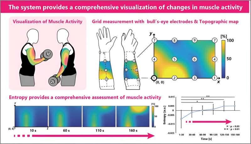 An innovative approach for evaluating muscle coordination and fatigue