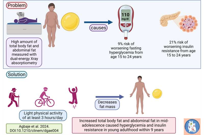 Study finds increased body and abdominal fat cause insulin resistance in teenagers, raising type 2 diabetes risk