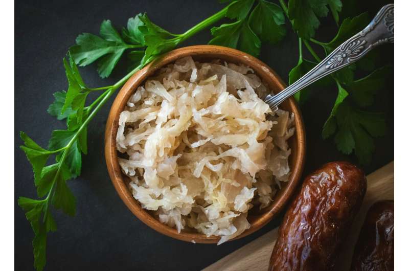 Meet your gut microbes: Lactobacillus brevis—a fermentation superstar