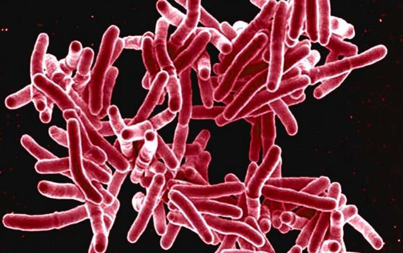 20% of multi-drug-resistant tuberculosis cases in children could be averted by household testing and treatment 