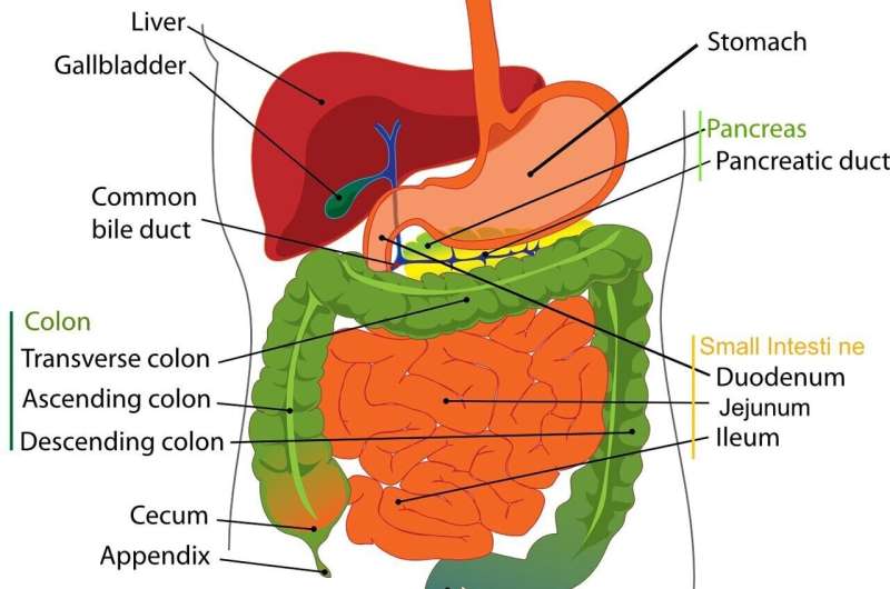 What do you know about pancreatitis?