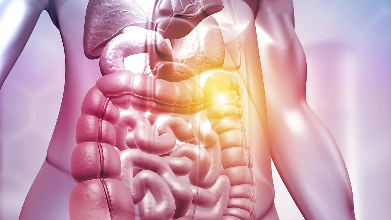 Síndrome de intestino irritable (SII): causas, síntomas y tratamiento