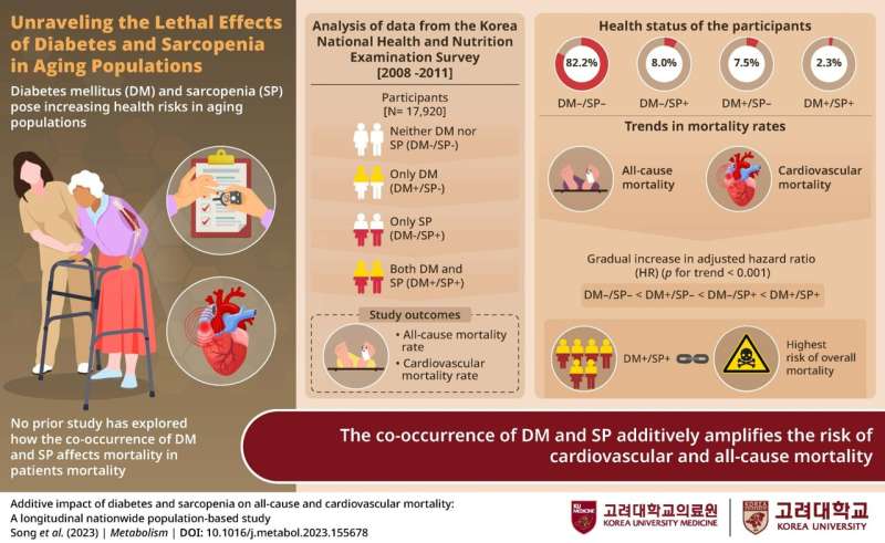 Researchers explore combined health impact of diabetes and sarcopenia in the elderly